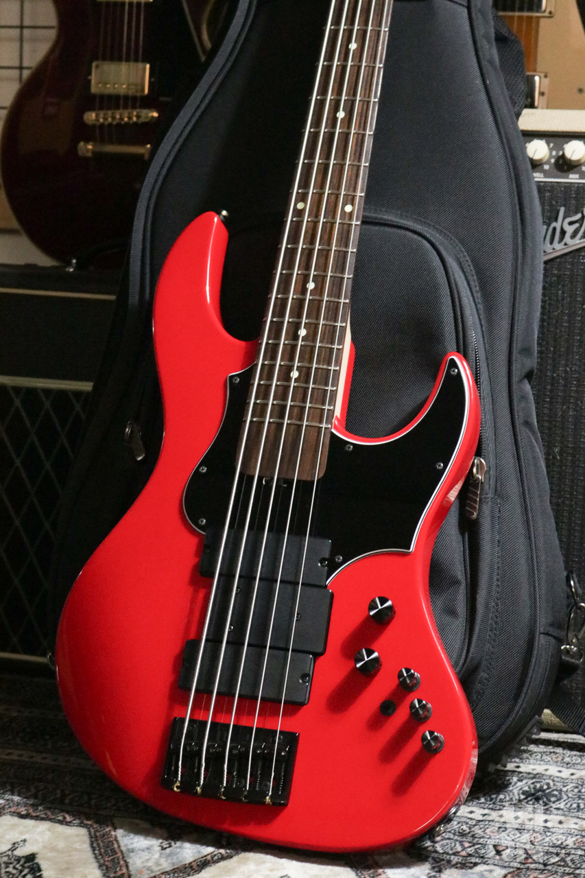 エドワーズ　IKUOシグネイチャーモデル　ベース ESP AMAZE-5-190のコンセプトを受け継いだ、EDWARDS Platinum E