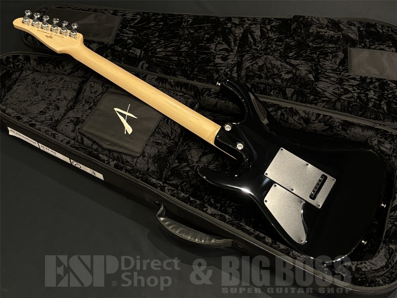 TOM ANDERSON Angel / Arctic Blue to Black Burst（新品/送料無料