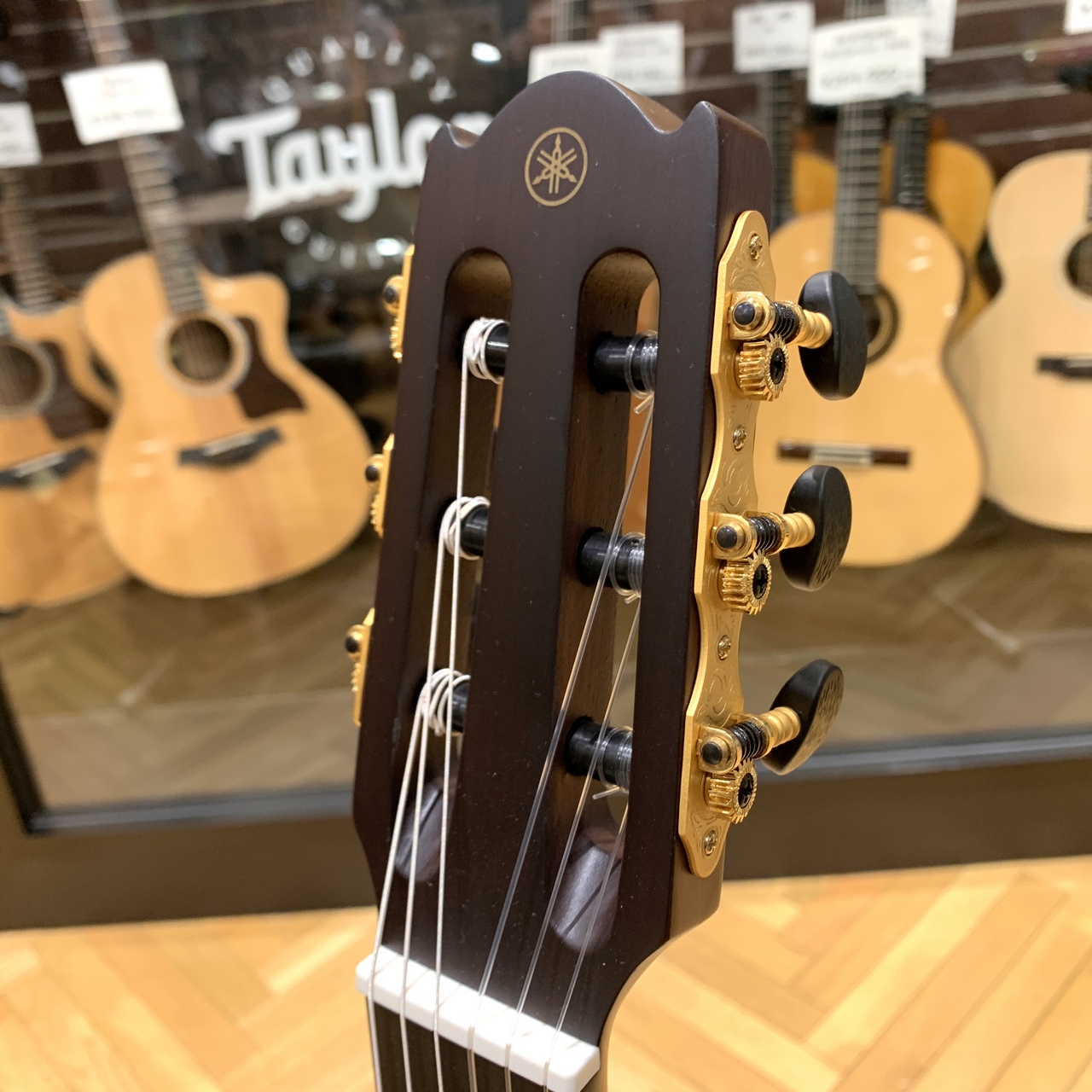 YAMAHA NCX3 【エレガット】【ナット幅52mm】（新品/送料無料）【楽器