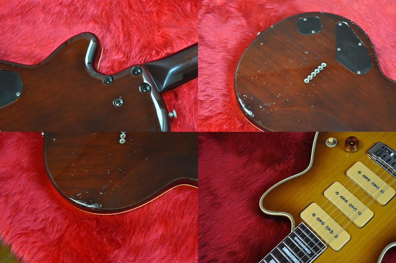 FUJIGEN(FGN) F&C Anboy AF-60P（中古）【楽器検索デジマート】