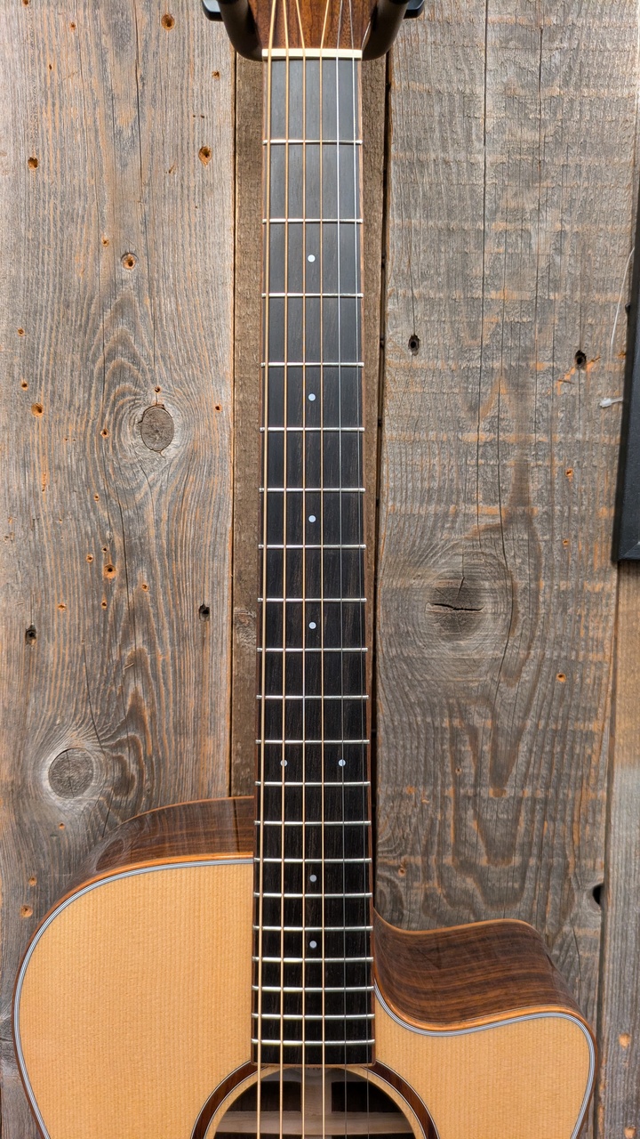 Morris SC-71 【モリダイラ楽器 特選モデル】（新品）【楽器検索