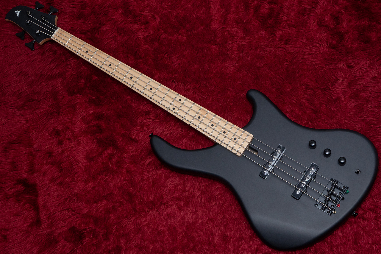 ACE BASS AB4-STD Black 3.835kg #AB-25041【GIB横浜】(新品/送料無料 ACE BASS AB4-STD Black 3.835kg #AB-25041【GIB横浜】(新品/送料無料