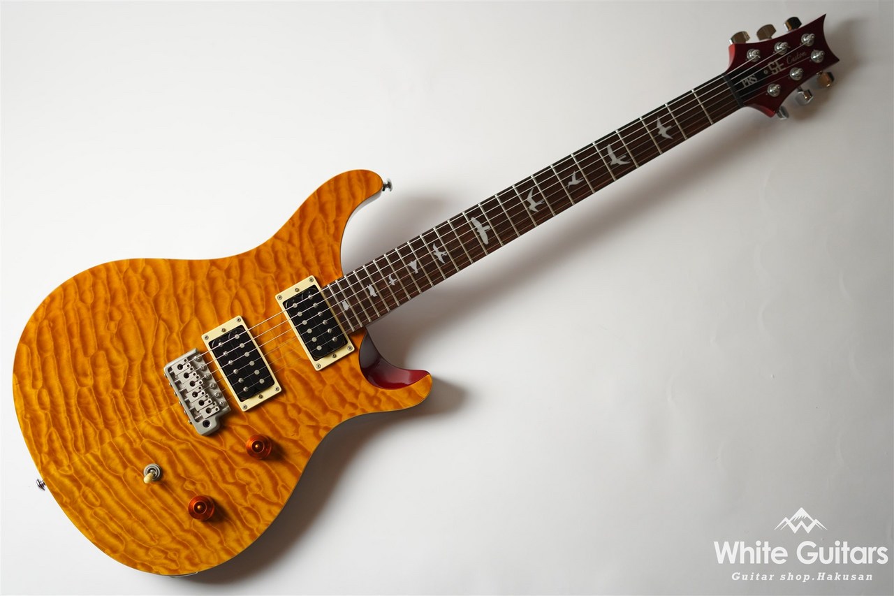 美品 PRS SE Custom 24 30th Anniversary abitur.gnesin-academy.ru