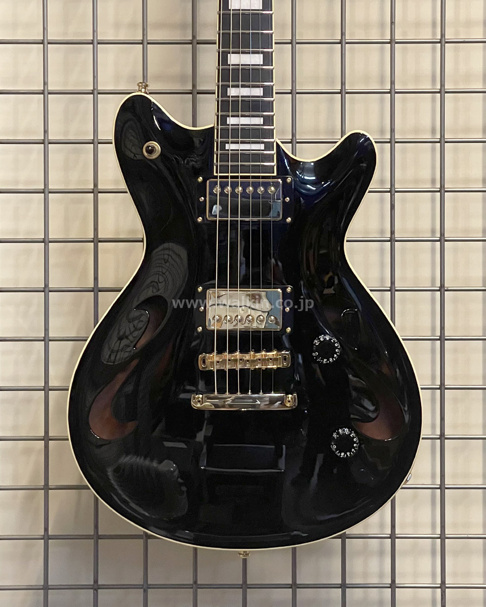 T's Guitar Arc Hollow-22 (Cusome Made)（中古）【楽器検索デジマート】