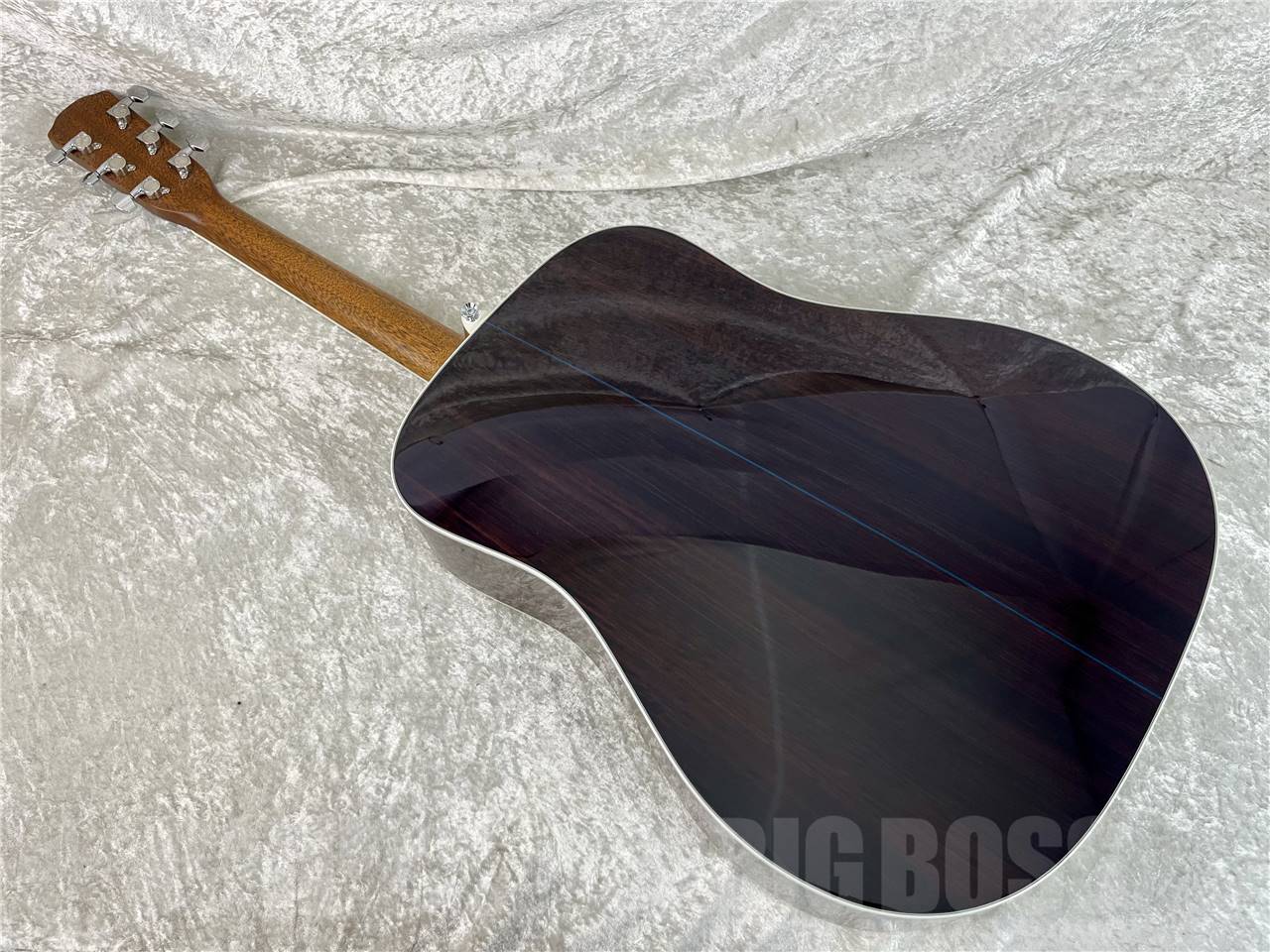 Morris M-AH (青木陽菜氏シグネチャーモデル/初回入荷分)（新品/送料