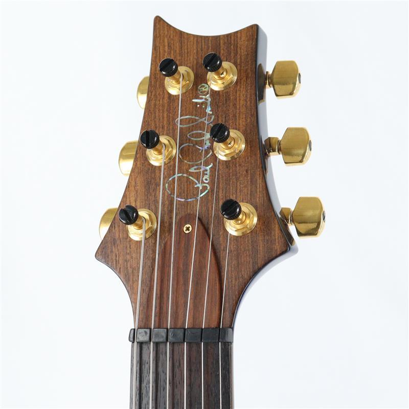 PAUL REED SMITH / Custom 22 ポールリードスミス PRS Paul Reed Smith Custom22 Piezo 10top - Violet