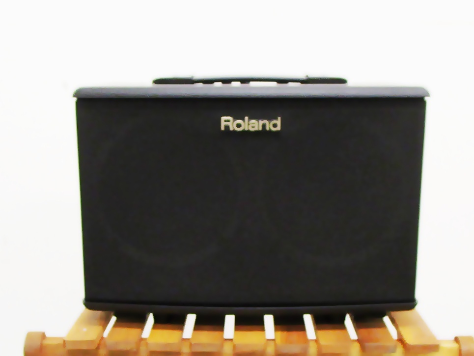 Roland AC-40 Acoustic Chorus 【生産完了品特価】（新品特価/送料無料 
