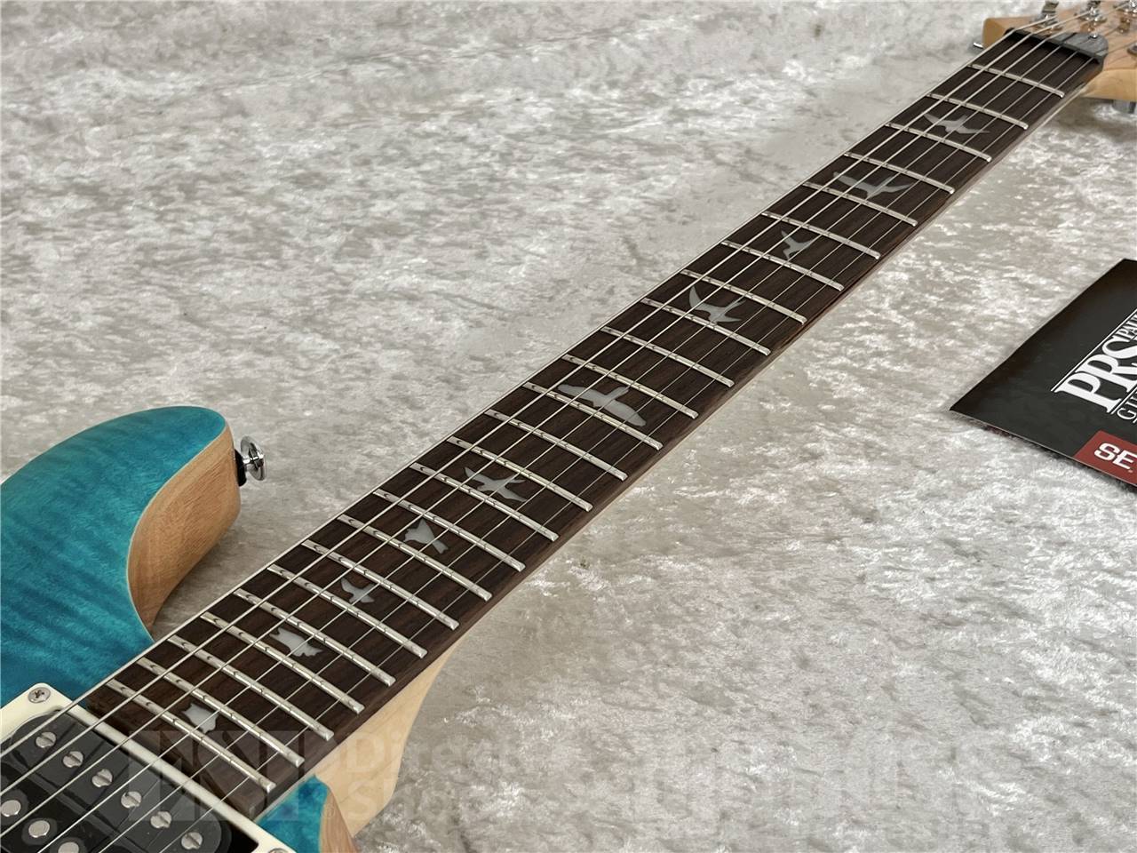 Paul Reed Smith(PRS) SE Custom 24 /Blue Matteo (2025年製