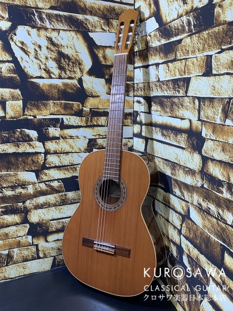 アントニオ・サンチェス 1990年代 Mod 1027F 松・シープレス