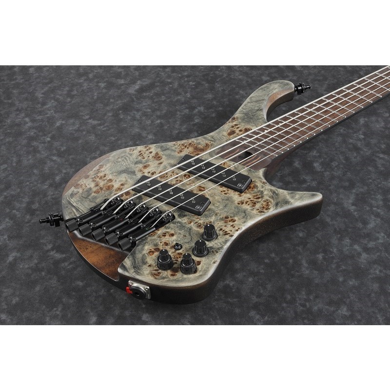 Ibanez Bass Workshop EHB1505MS-BIF [SPOT MODEL]（新品）【楽器検索