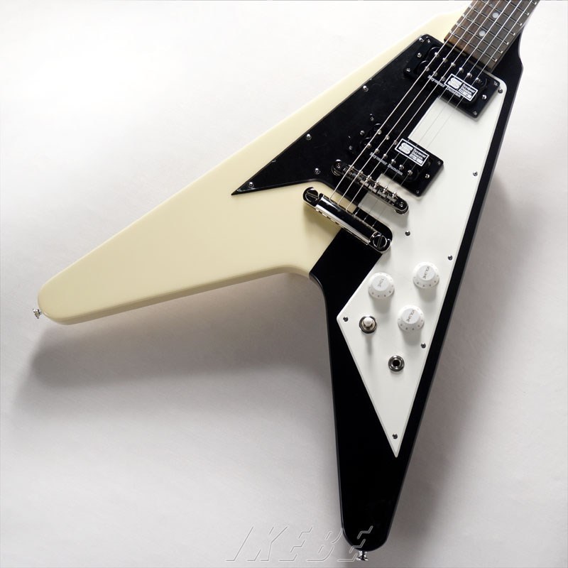 EDWARDS E-FV-125WB DOT（新品）【楽器検索デジマート】