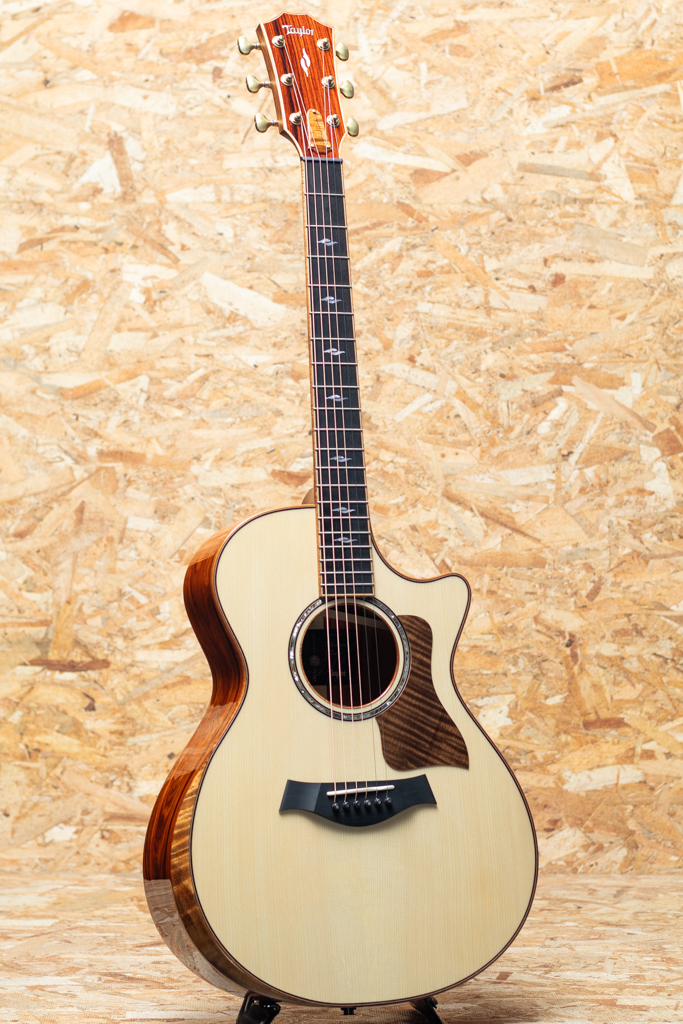 Taylor Custom GC Adirondack Spruce × Cocobolo（新品）【楽器検索