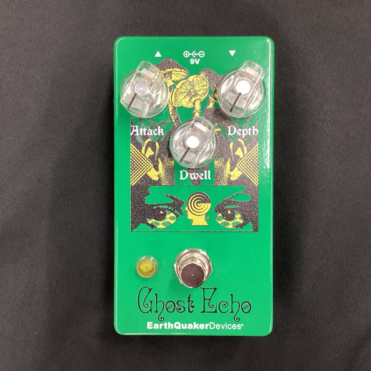 EarthQuaker Devices Brain Dead / Ghost Echo（新品）【楽器検索