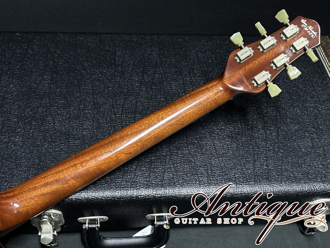 Don Grosh DG-193 Set Neck Semi-Hollow 2019 Tiger Eye Burst /Curved