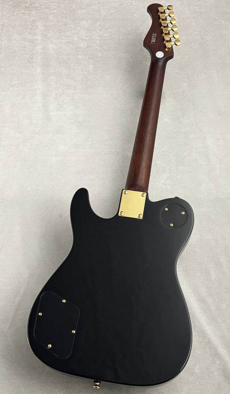 Bacchus Global Series BARON-CTM Alnico ~Black~ #GI18385 ≒3.81kg