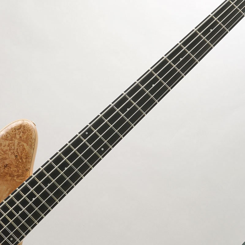 TUNE Zi III-5 ヘッドレス アクティブ5弦ベース 日本製 オーダー品
