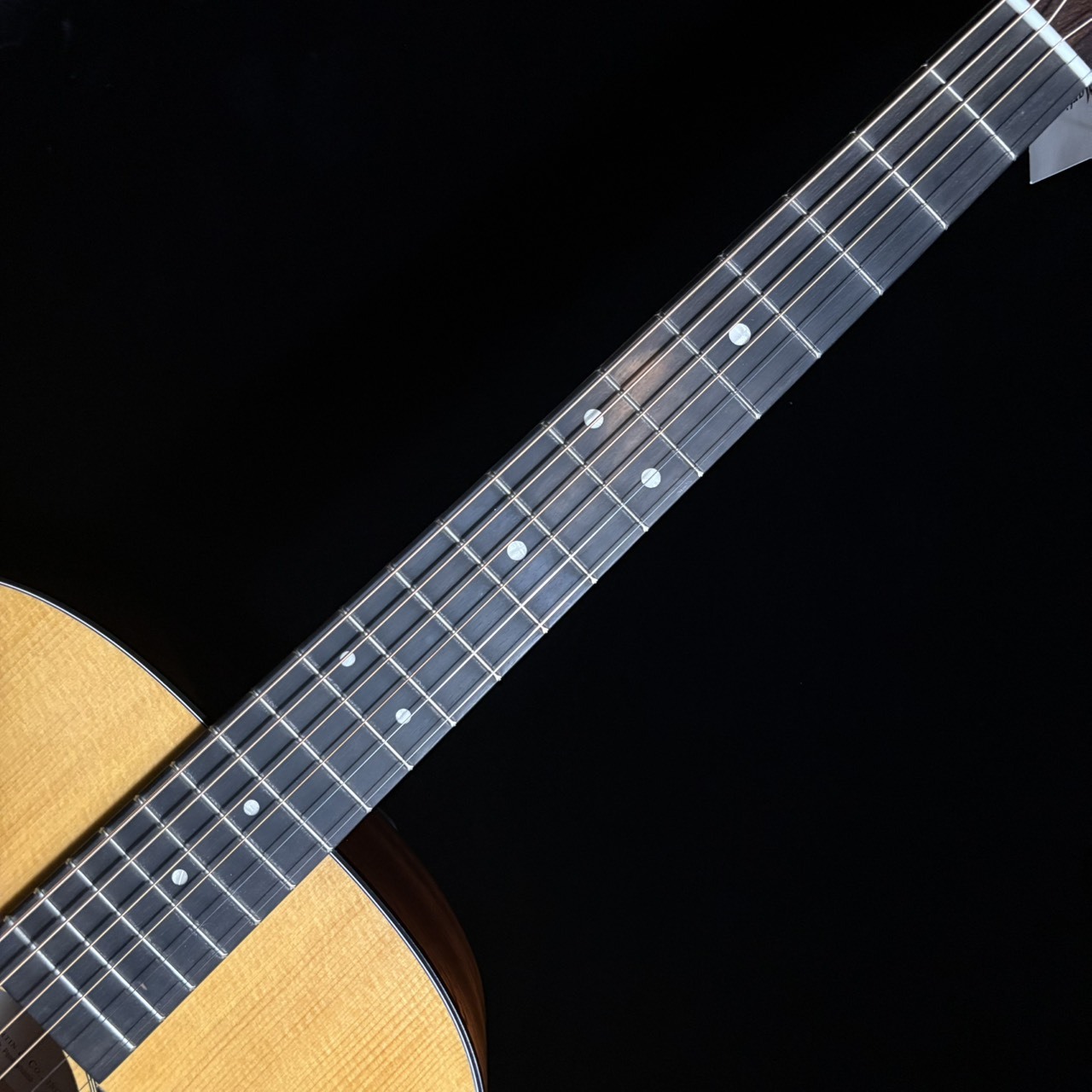 Martin 《現物画像 / 迅速発送！》D-10E Retro エレアコ 【1本限定特価