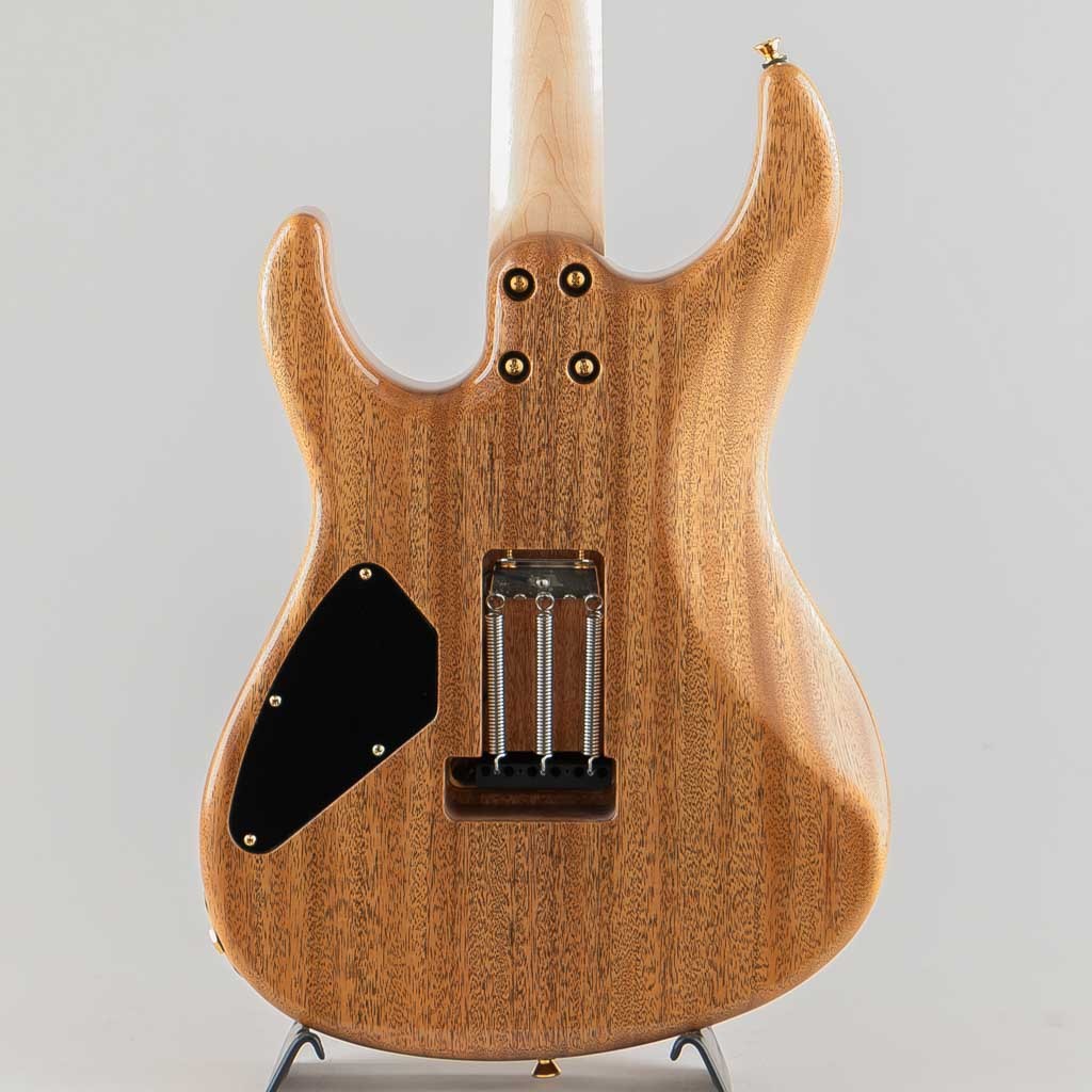 FREEDOM CUSTOM GUITAR RESEARCH C.S. EZa 24F FT / Vintage
