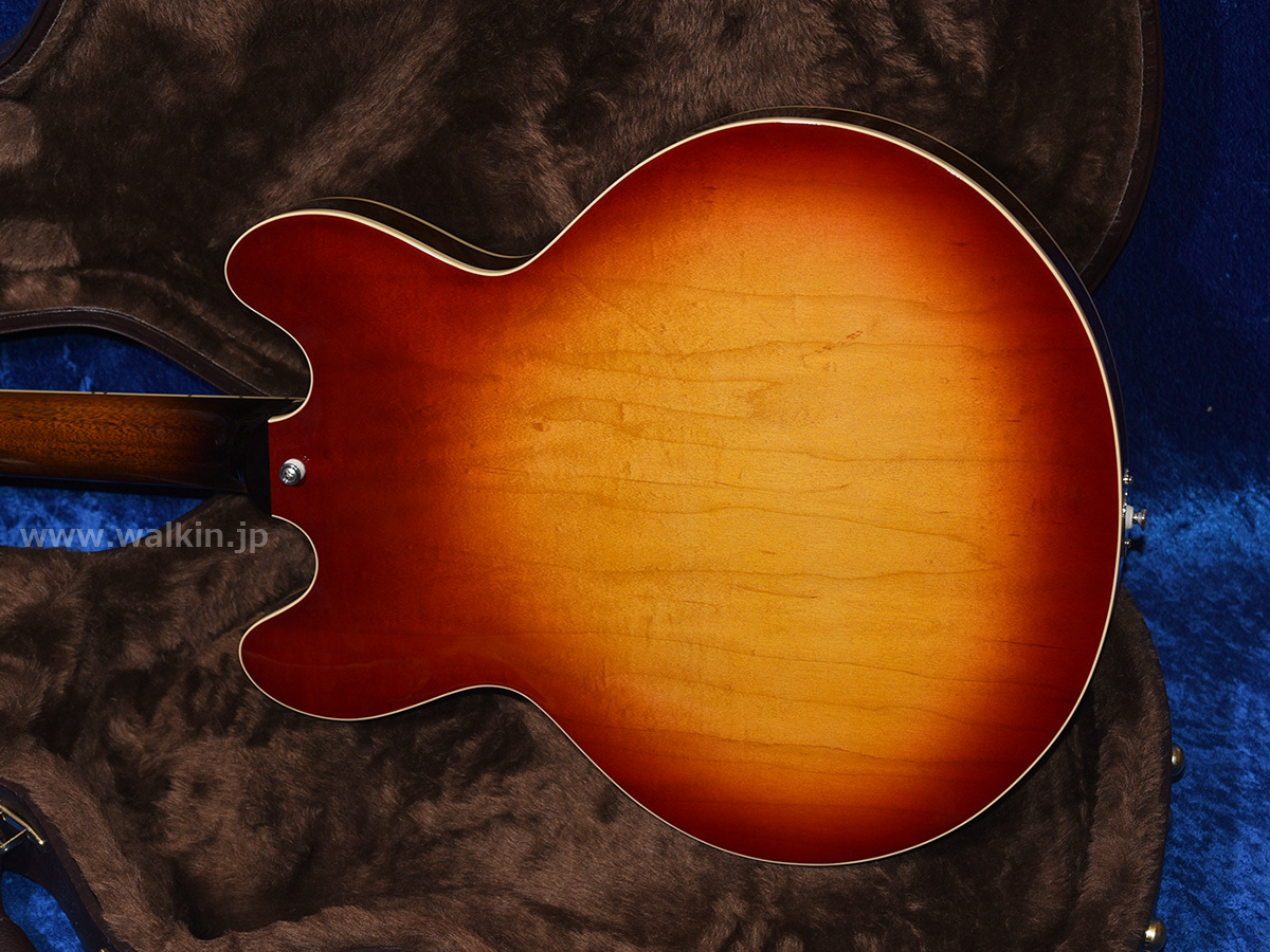 Archtop Tribute AT135TTP（新品）【楽器検索デジマート】