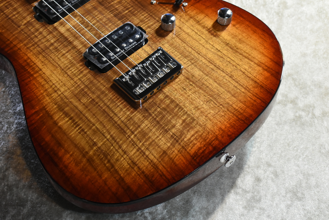 FUJIGEN FGN NCTL-20R/ASH 国産捕獲モデル ダンカンPU FUJIGEN FGN NCTL-20R/ASH 国産捕獲モデル ダンカンPU - メルカリ