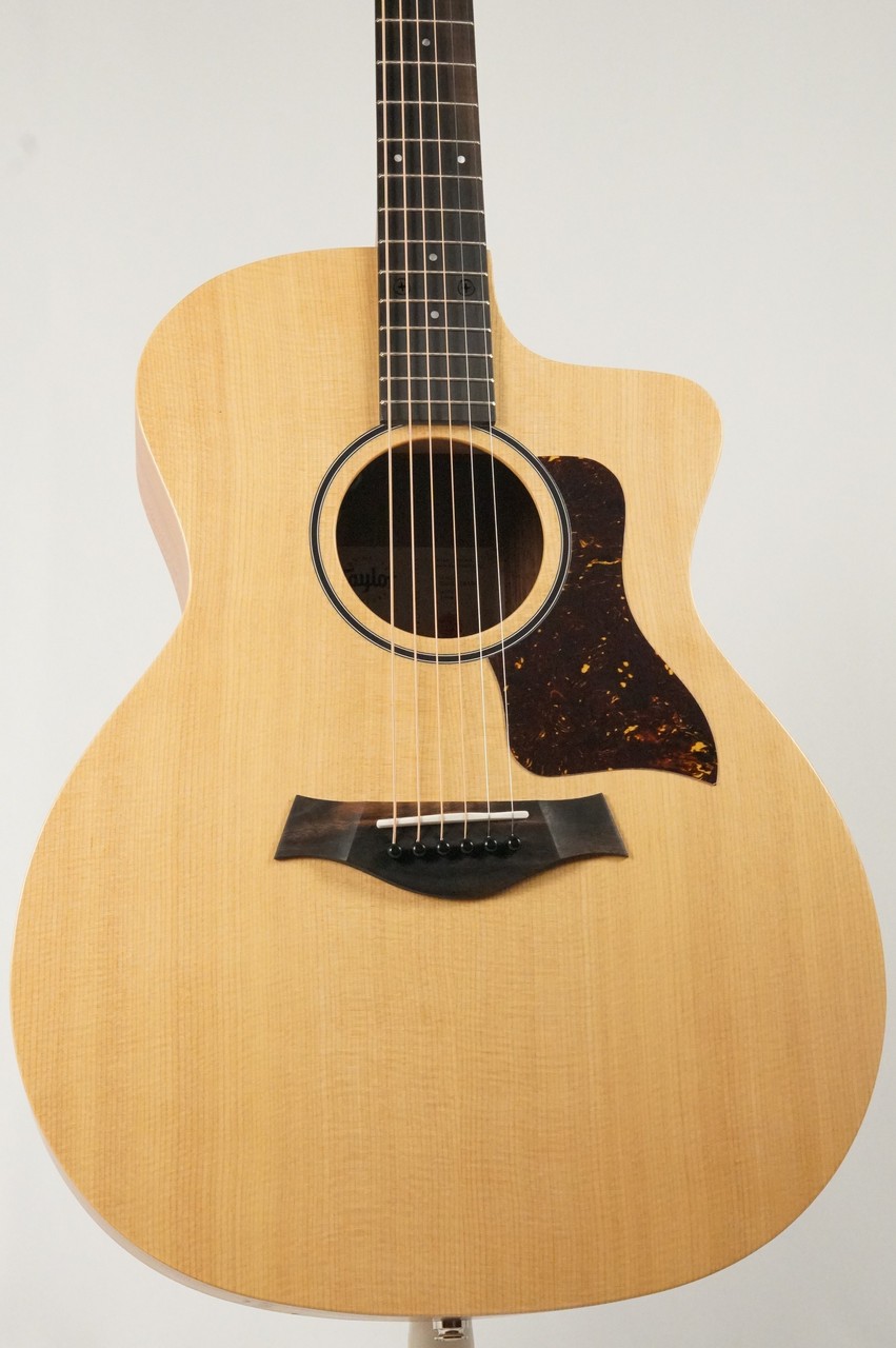 Taylor 14ce #2209015498【トリファイドスプルース】【C-Classブ