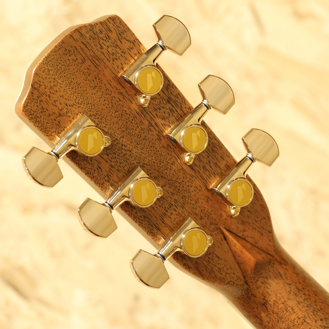Morris SE-93 Custom（新品）【楽器検索デジマート】