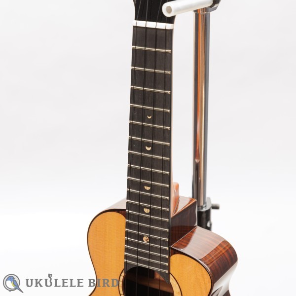 aNueNue aNN-US214（新品/送料無料）【楽器検索デジマート】