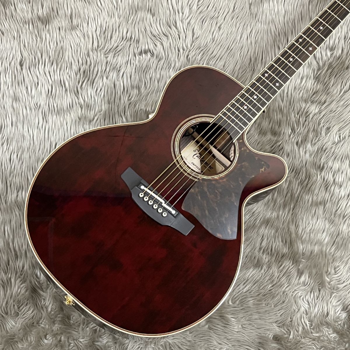 Takamine DMP50S WR エレアコギター セミハードケース付属 【島村楽器 