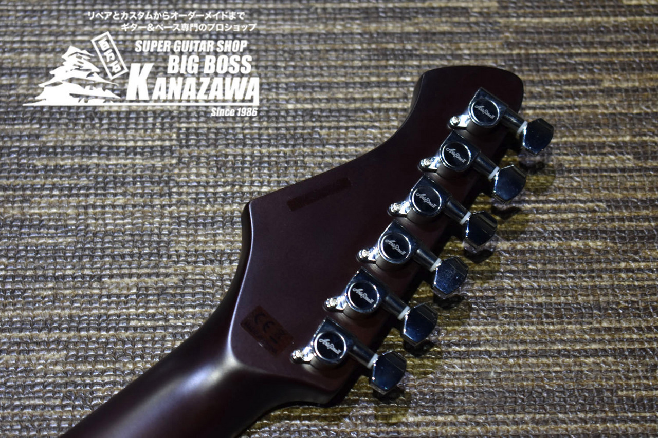 Aria Pro II 615-GH【サーモネック&ローズウッドTOP!】（新品/送料無料