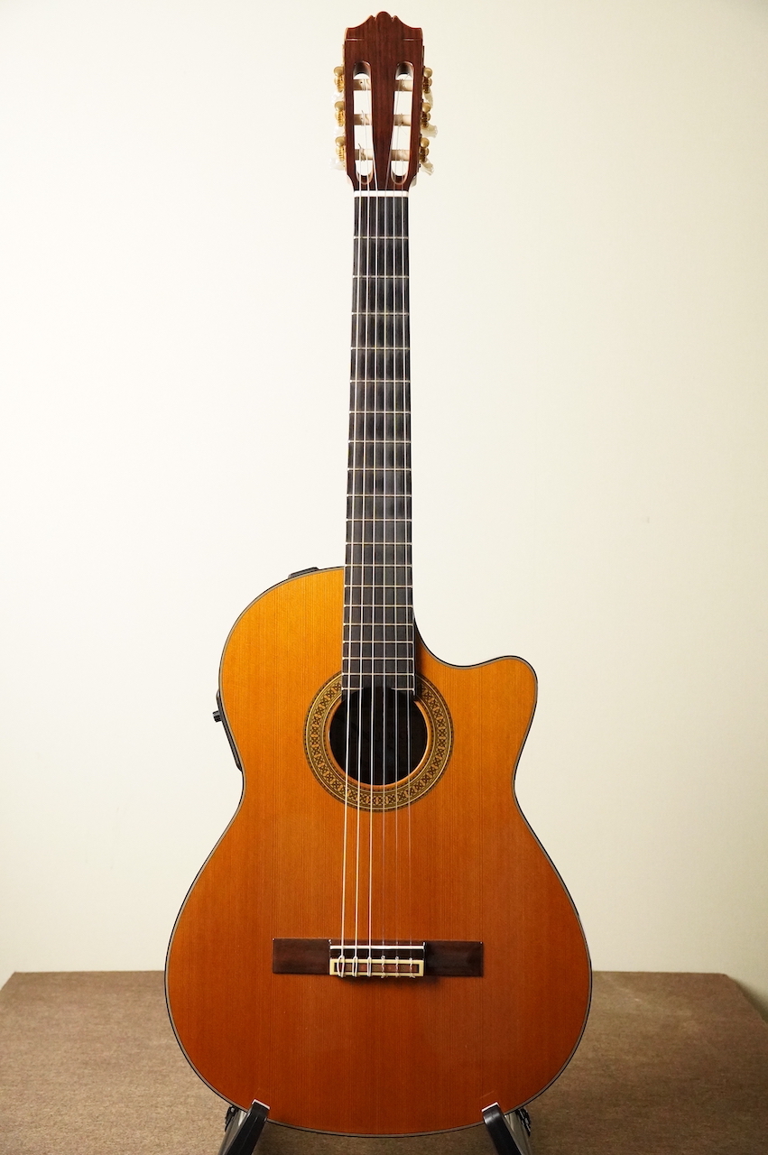 YAMAHA CGX171CCA エレガットギターハードケース付き - 楽器、器材