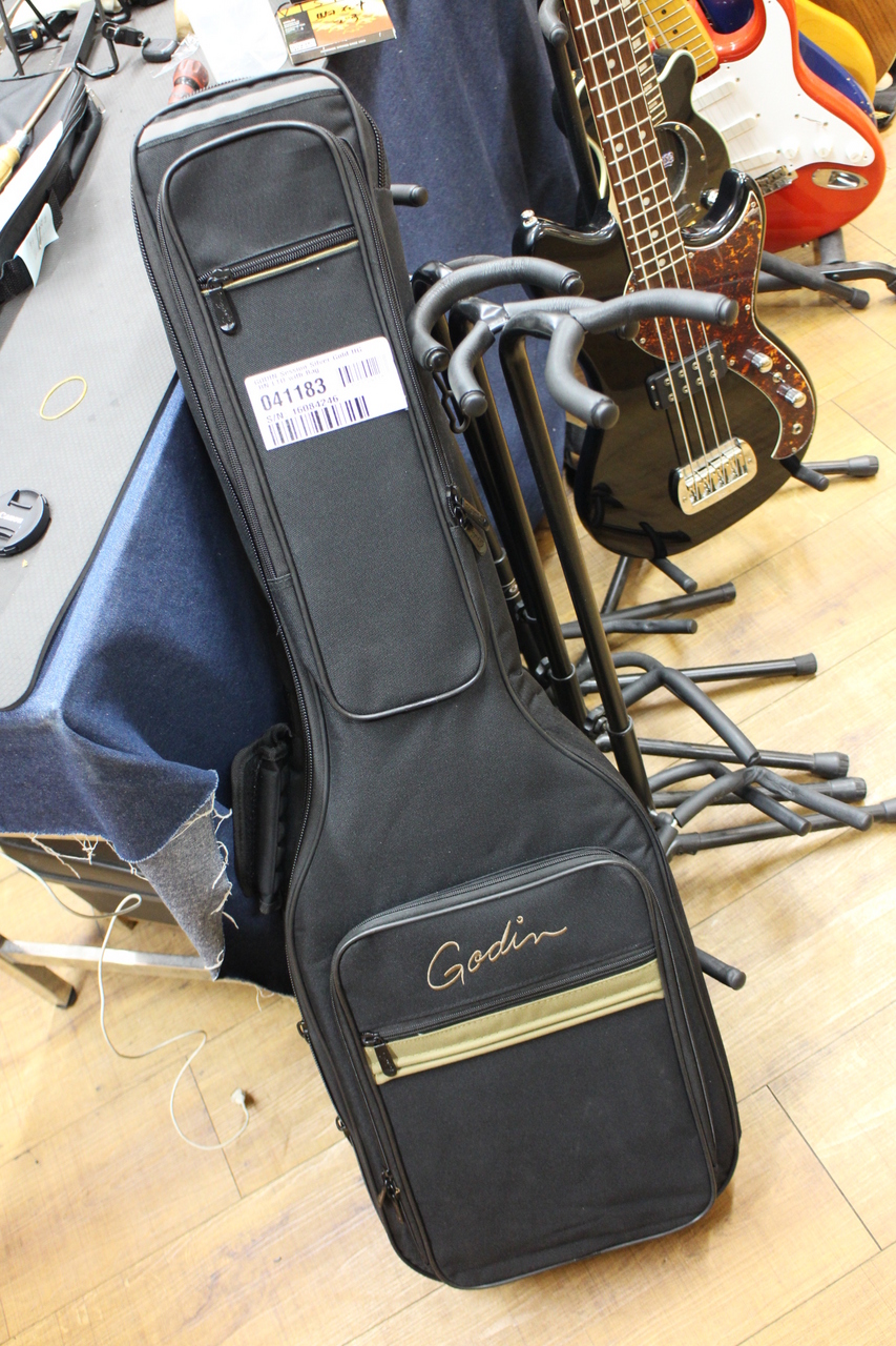 Godin Session Silver Gold HG RN LTD（中古/送料無料）【楽器