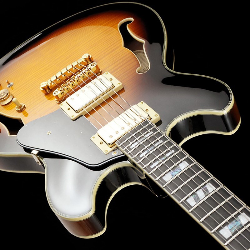 Ibanez JSM10-VYS [John Scofield Model]（新品）【楽器検索デジマート】