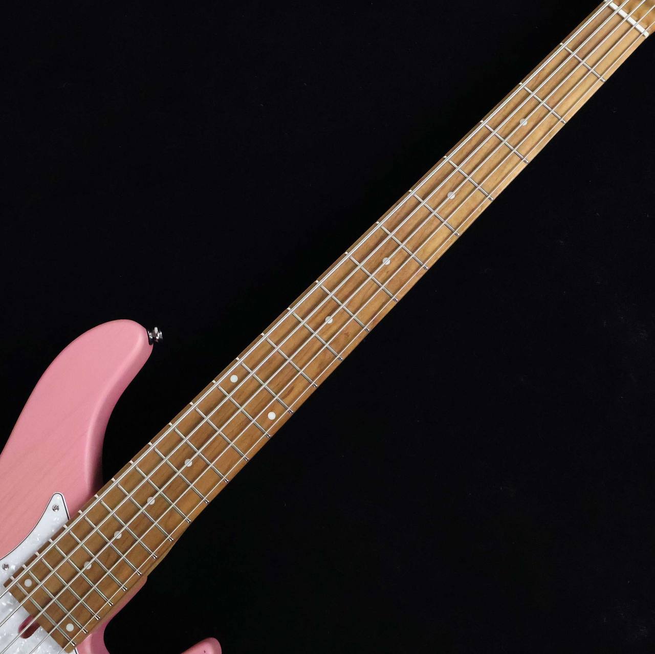Bacchus WL524 H.J. FREAKS PINKS S/N：CI04194 【5弦】【H.J. FREAKS