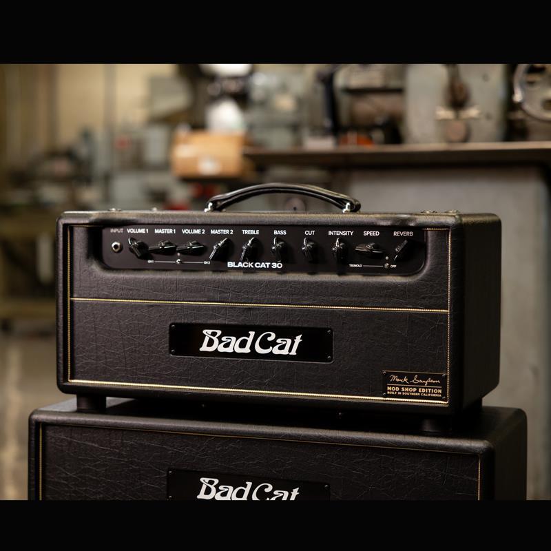 Bad Cat Mod Shop Black Cat 30 Head（バッドキャット）（新品）【楽器