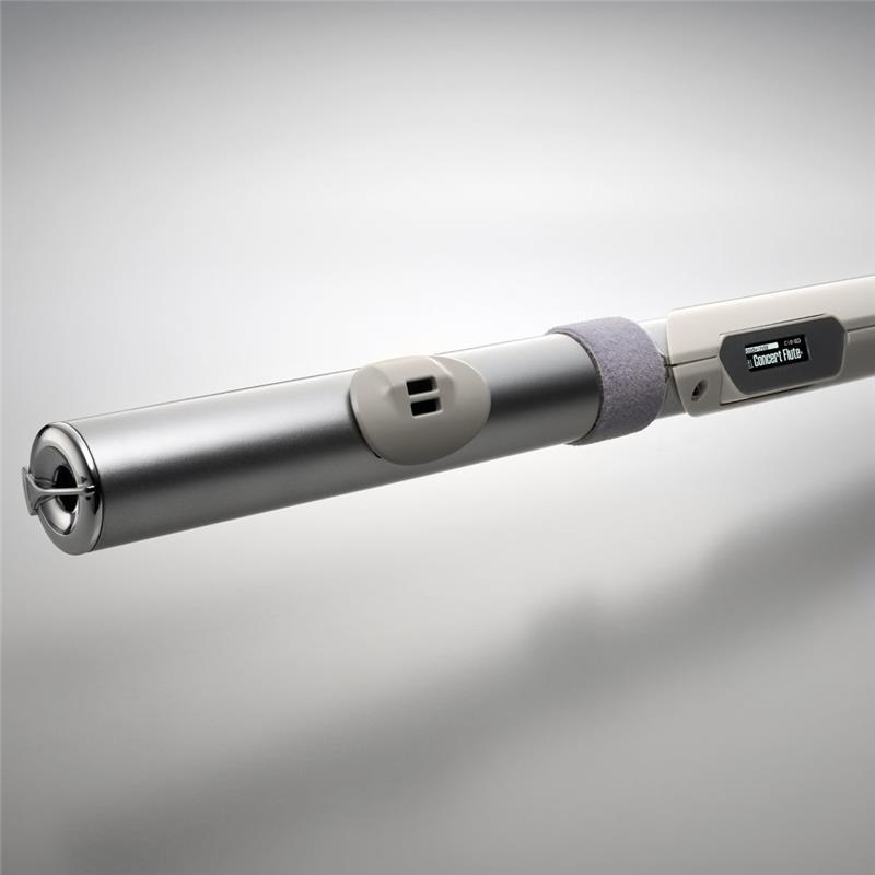 Roland ローランド / Aerophone Brisa デジタル管楽器 AE-BRISA エアロ