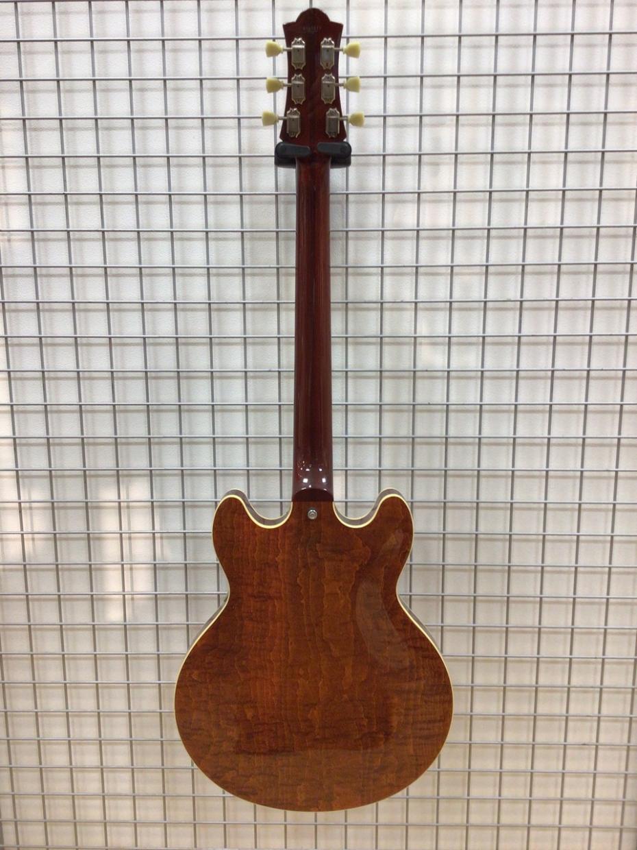 Wisdom Guitars DC7 / Brown Amber（新品/送料無料）【楽器検索