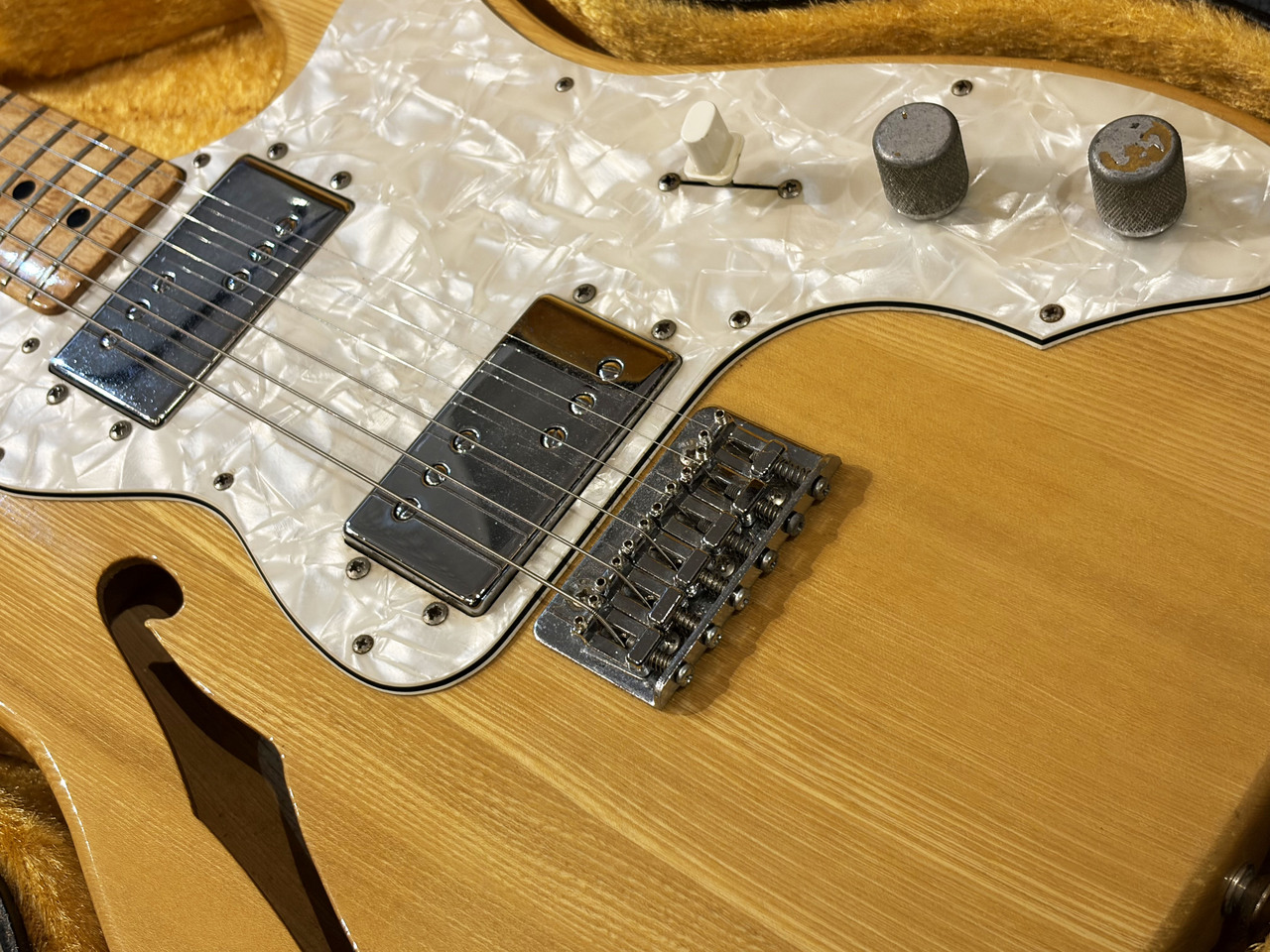 Greco 1976 TE-500N Thinline （ビンテージ）【楽器検索デジマート】