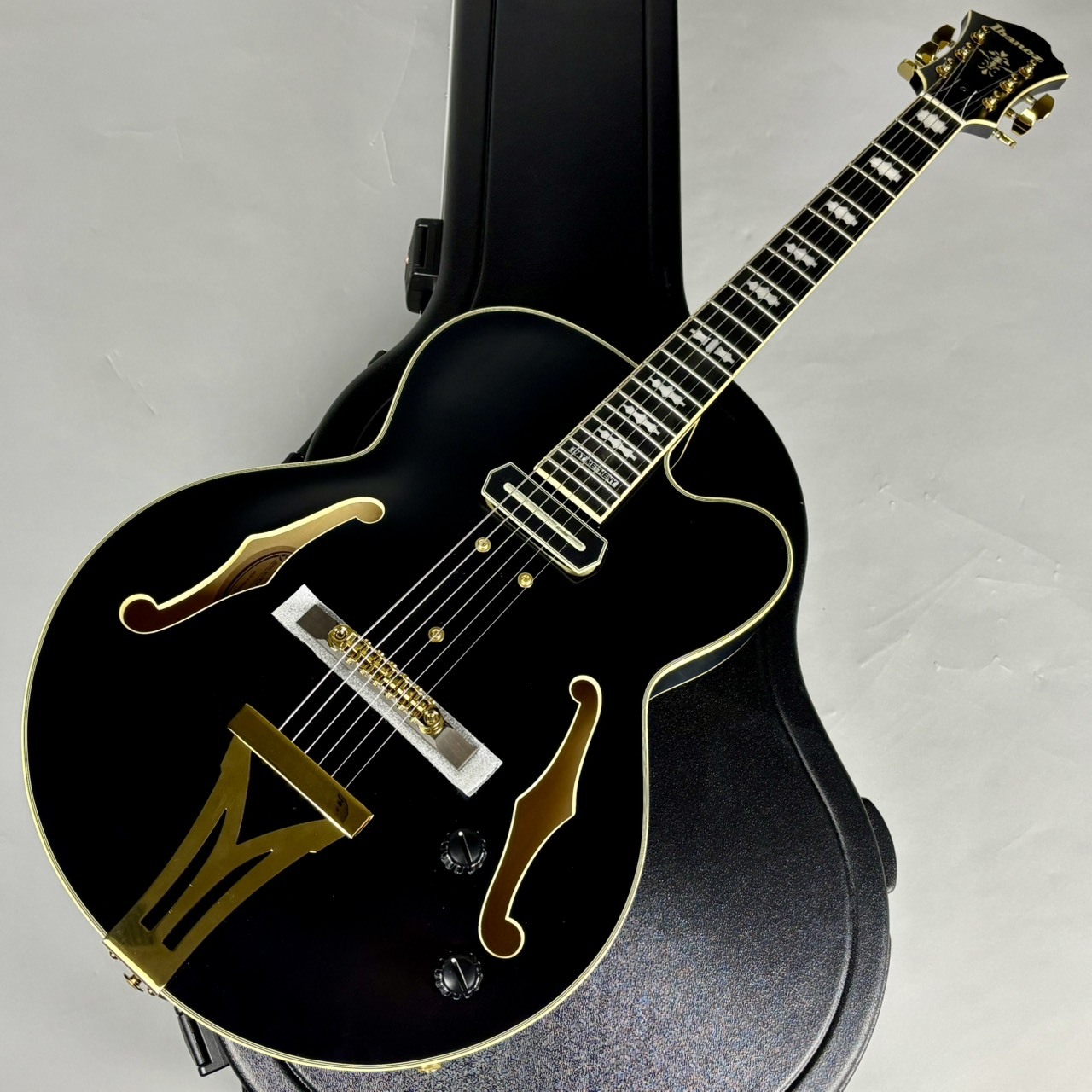 Ibanez PM3C パット・メセニーシグネチャー・モデル【現物写真】（B級