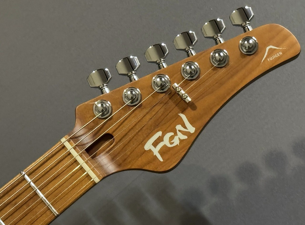 FUJIGEN(FGN) EILT-ASH-HS-RM/VNT 2025年製【3.15kg】【美品USED
