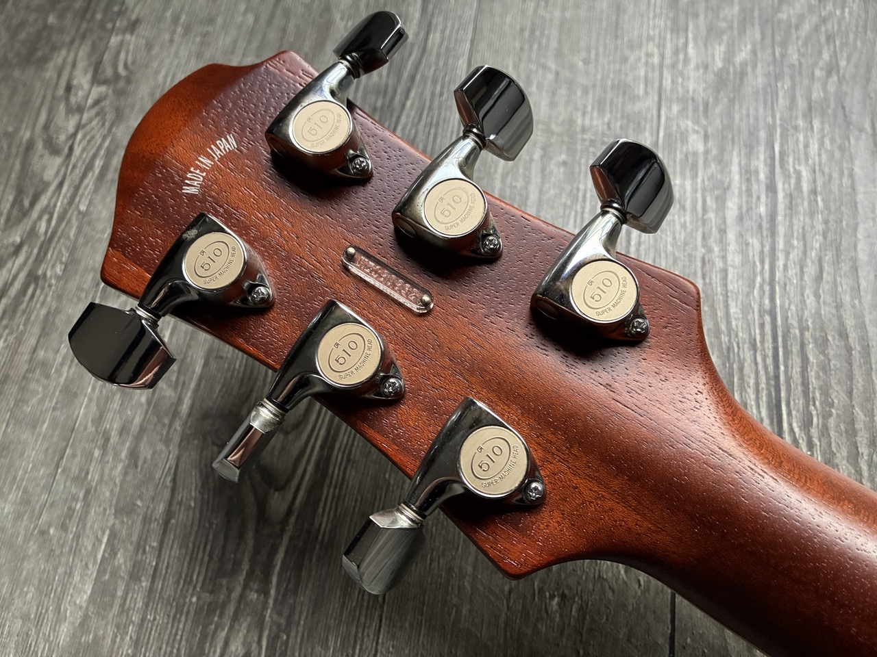 Zemaitis CS22SU Wood Leaf VP FLAME MAPLE ProtoType 2018 【紹介動画