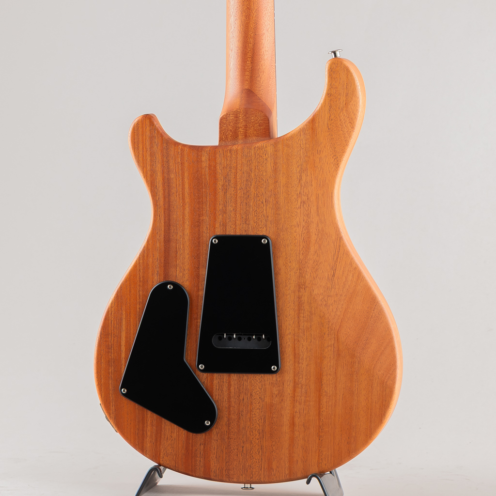 Paul Reed Smith(PRS) S2 Special Semi-Hollow Reclaimed Limited