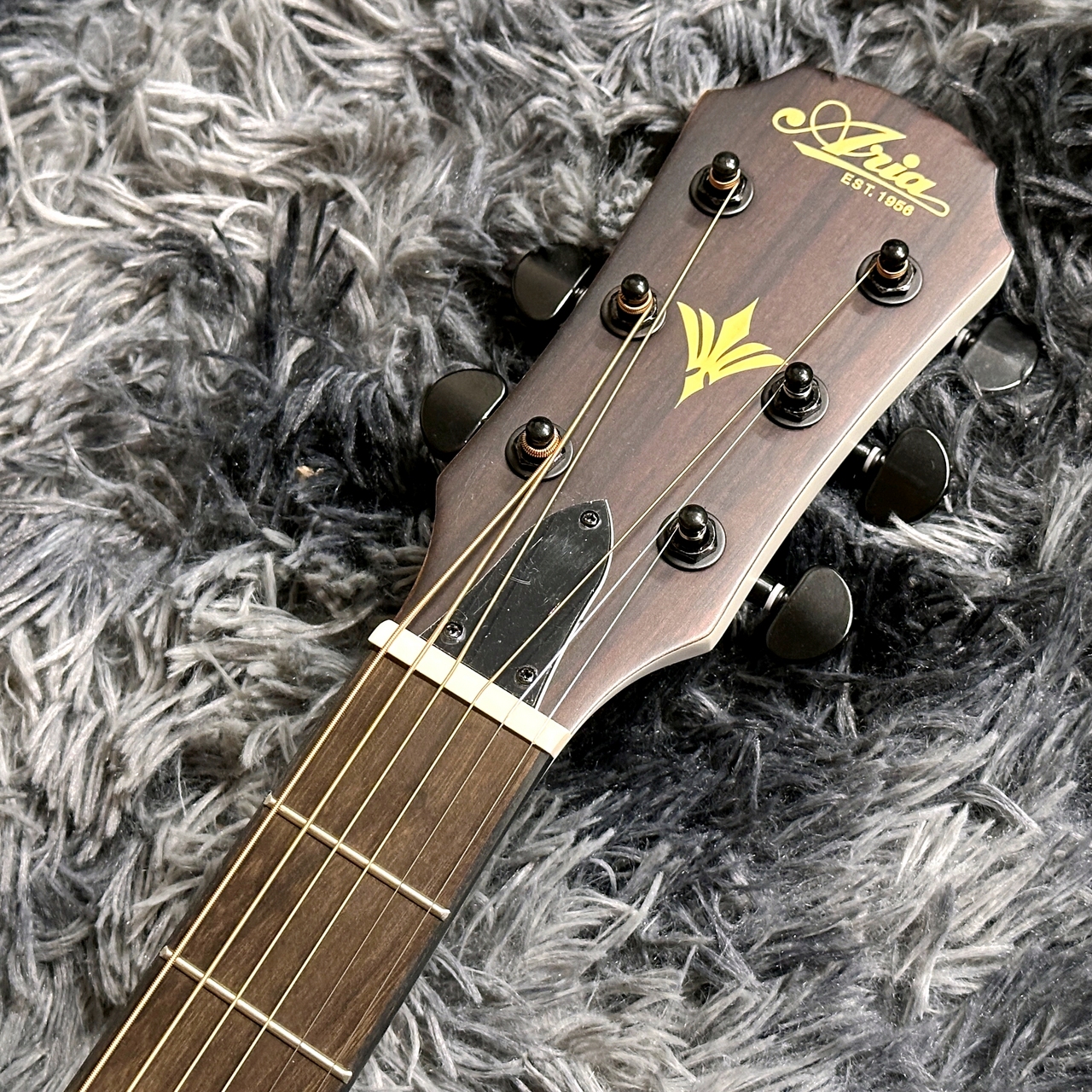 ARIA FET-F2 STWH (Stained White) -Elecord Series-【アウトレット