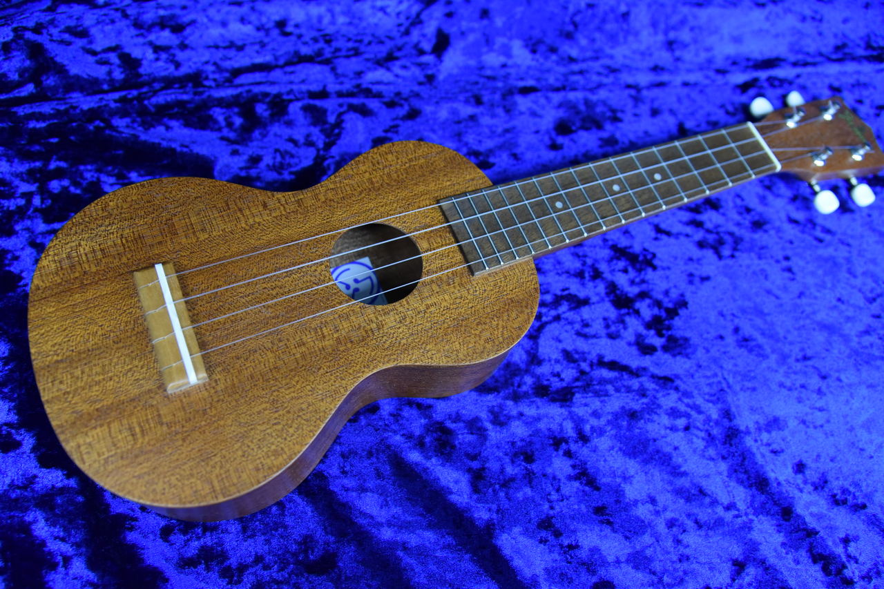 プランと料金 Famous FS-1G（中古）【楽器検索デジマート】 その他