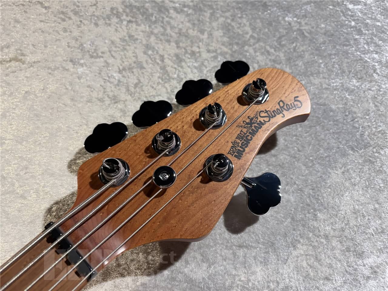 MUSIC MAN StingRay 5 Special HH (Black)（新品/送料無料）【楽器検索