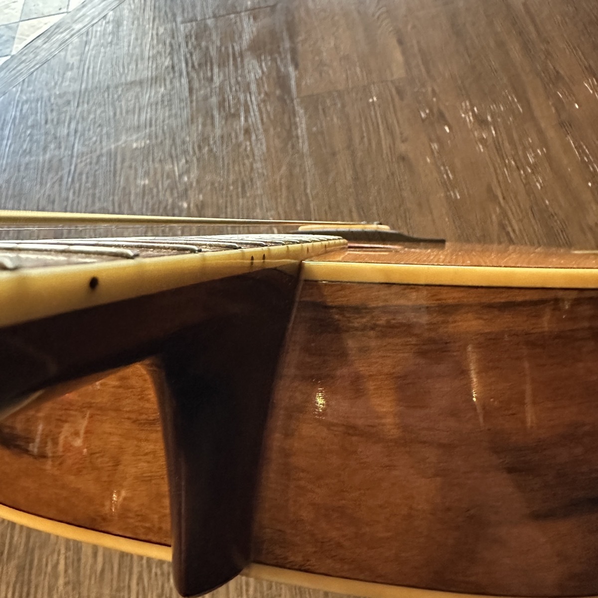 Morris MD-520 Acoustic Guitar Made in Japan（中古/送料無料）【楽器