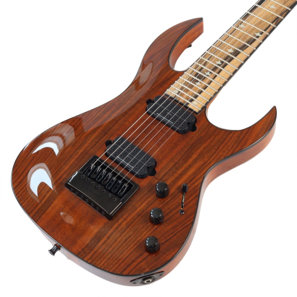 訳あり】 B.C.Rich SHREDZILLA PROPHECY ARCHTOP WITH EVERTUNE
