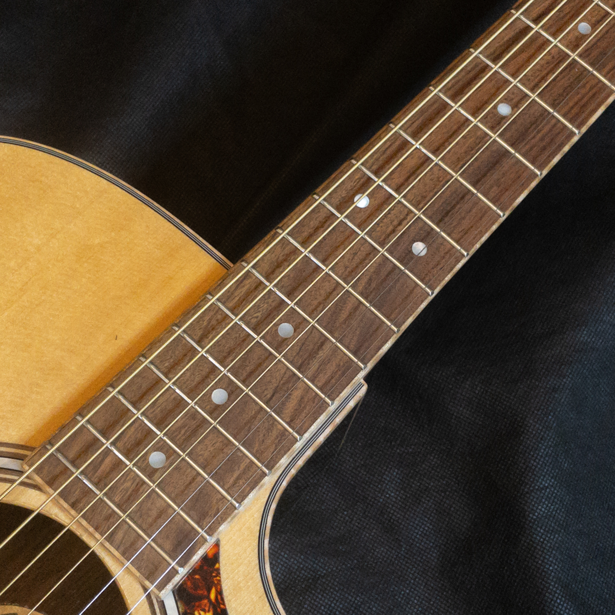 GUILD OM-250CE Reserve Archback NAT (Natural)（新品特価）【楽器