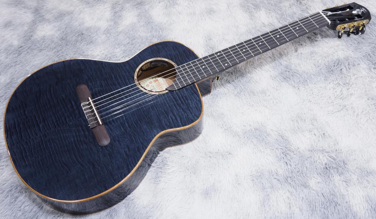 aNueNue aNN-LN77E（新品/送料無料）【楽器検索デジマート】