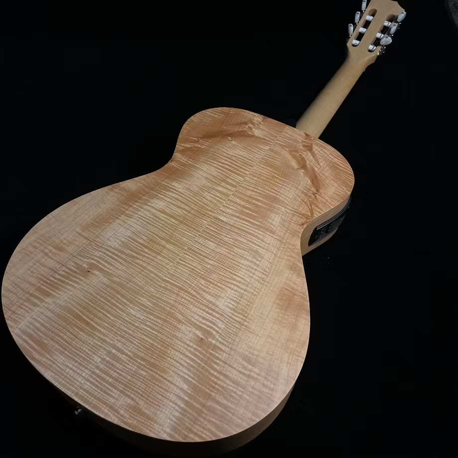 Taylor LTD EG Academy 12e-N エレガットギター【島村楽器限定モデル