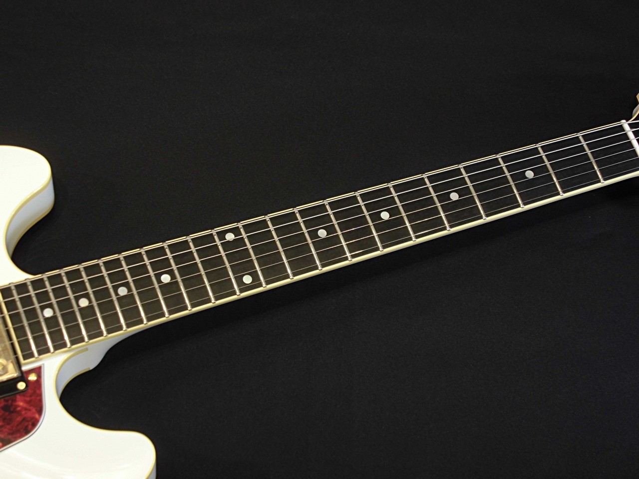 Aria Pro II TA-TONIC / WH (White)【セミアコ】【日本製】【3.36kg